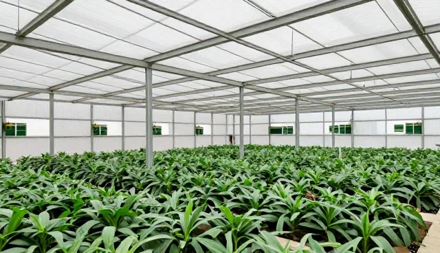 技术开发服务中安装调试的选型与使用建议